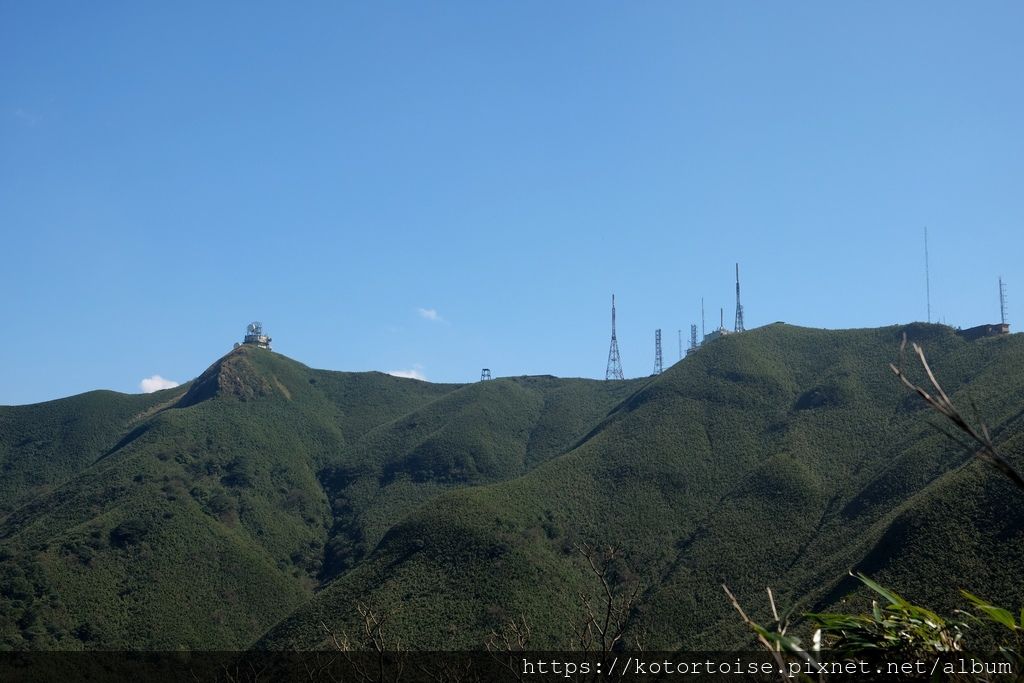 DSCF7525.jpg DSCF7525.jpg