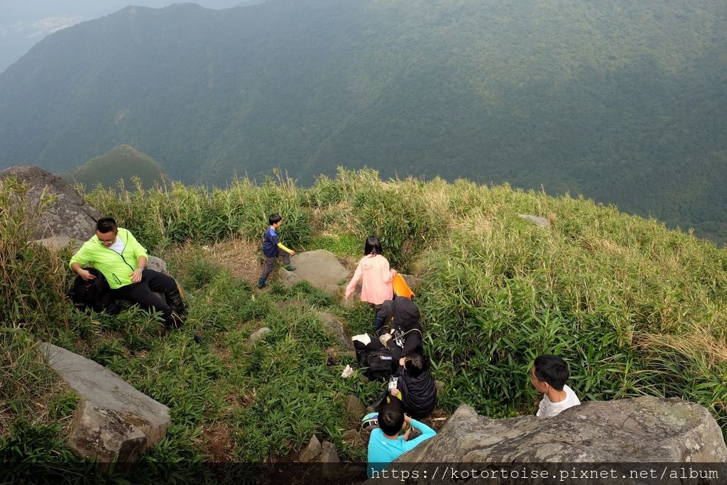 DSCF7534.jpg DSCF7534.jpg