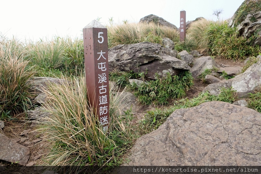 DSCF7538.jpg DSCF7538.jpg