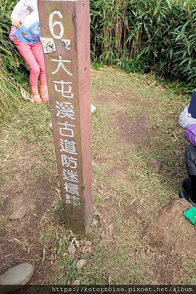 DSCF7546.jpg DSCF7546.jpg