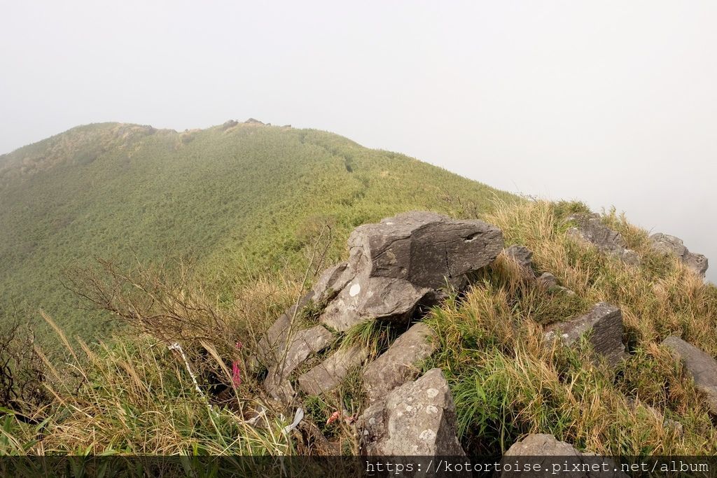 DSCF7545.jpg DSCF7545.jpg