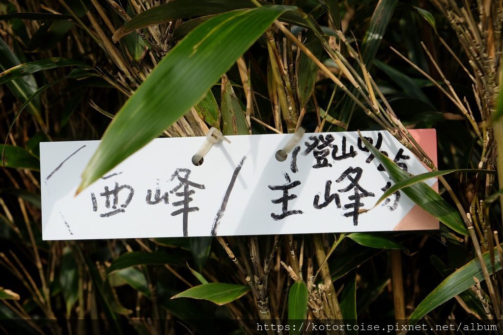 DSCF7554.jpg DSCF7554.jpg