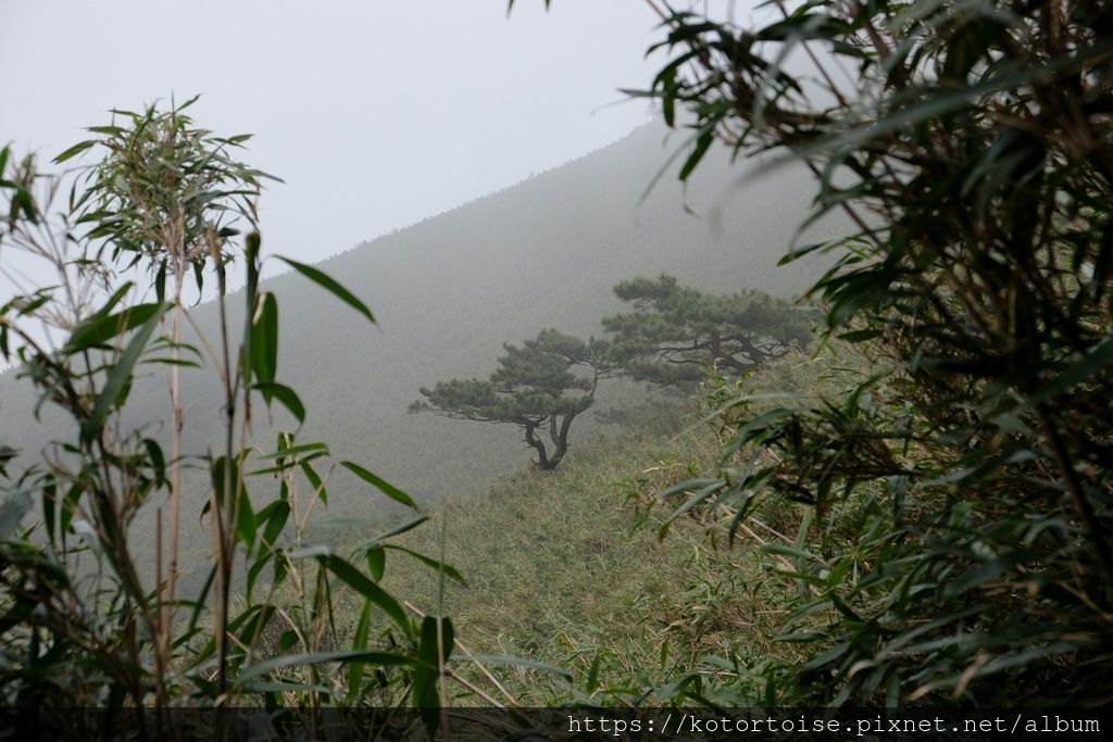 DSCF7557.jpg DSCF7557.jpg