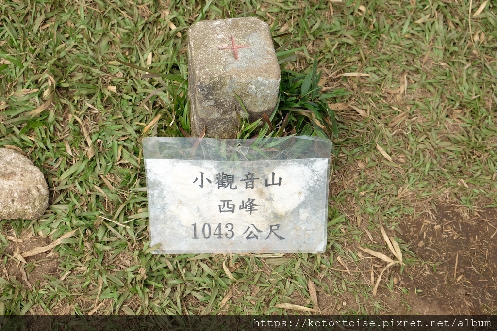 DSCF7553.jpg DSCF7553.jpg