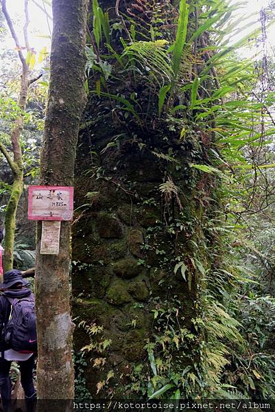 DSCF7562.jpg DSCF7562.jpg