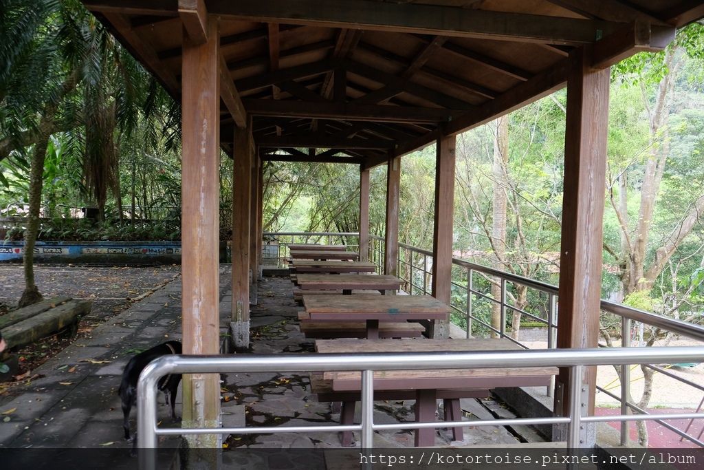 DSCF9103.jpg DSCF9103.jpg