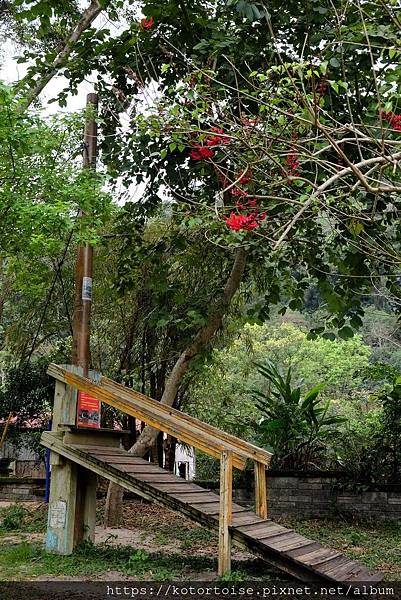 DSCF9100.jpg DSCF9100.jpg