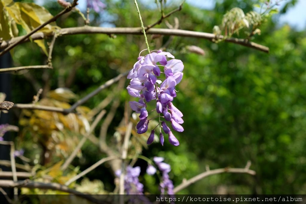 DSCF9131.jpg DSCF9131.jpg