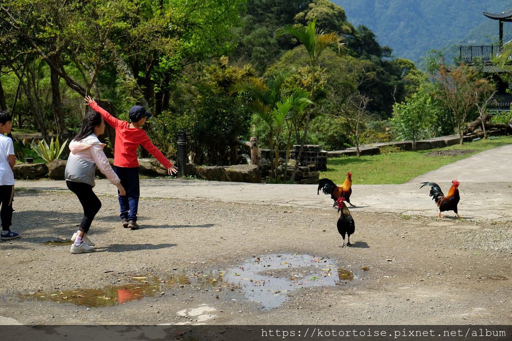 DSCF9119.jpg DSCF9119.jpg