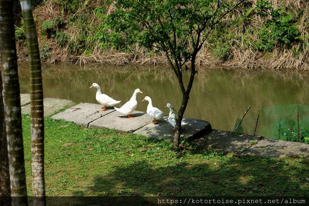 DSCF9122.jpg DSCF9122.jpg