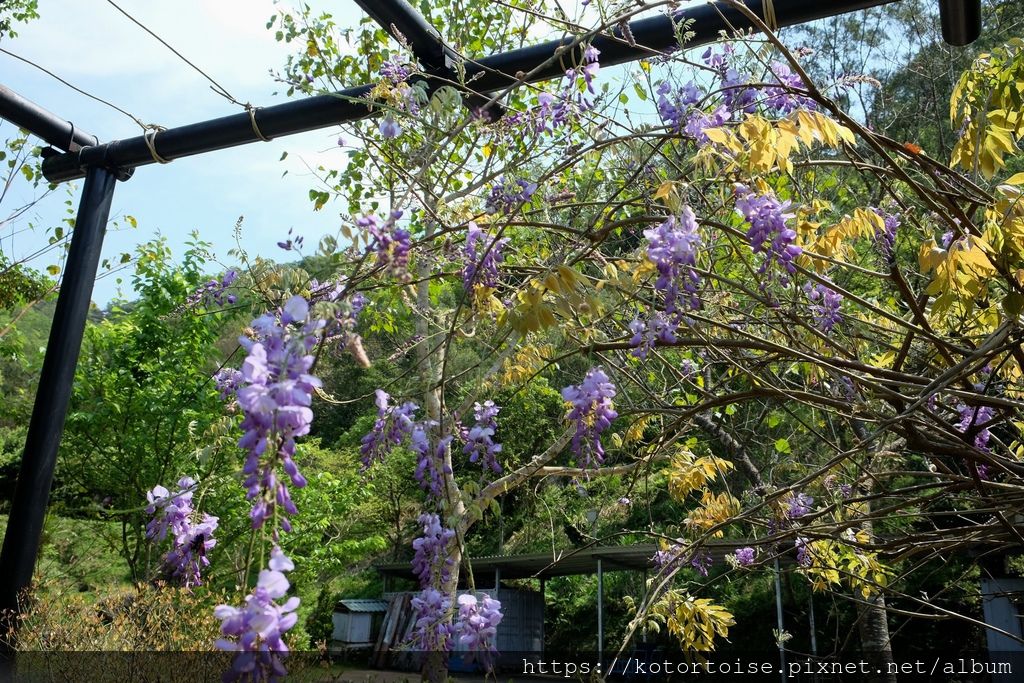 DSCF9133.jpg DSCF9133.jpg