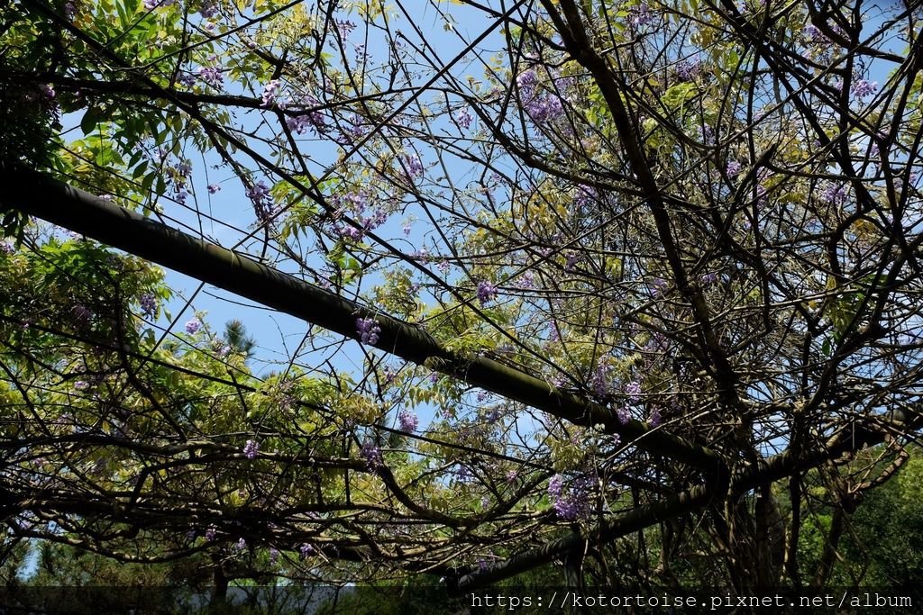 DSCF9142.jpg DSCF9142.jpg