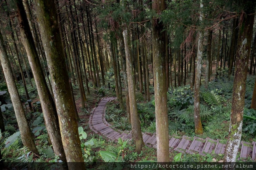 DSCF9181.jpg DSCF9181.jpg