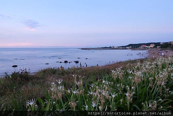 [犛牛的台灣景點] 新北: 近在咫尺的山水秘境