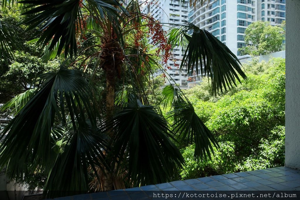 [泰國曼谷] 2019.5 曼谷快閃: 是樂園 & Anan