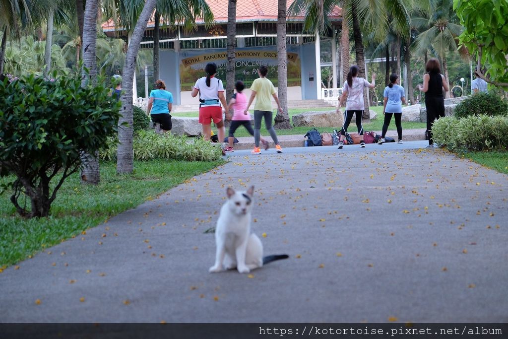 [泰國曼谷] 2019.5 曼谷快閃: 是樂園 & Anan