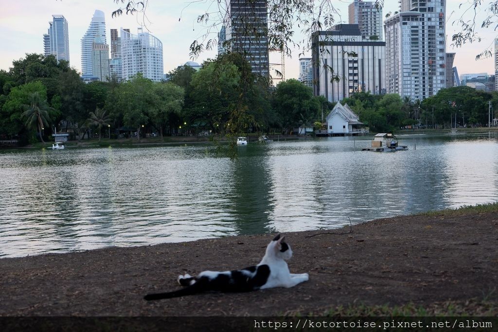 [泰國曼谷] 2019.5 曼谷快閃: 是樂園 & Anan