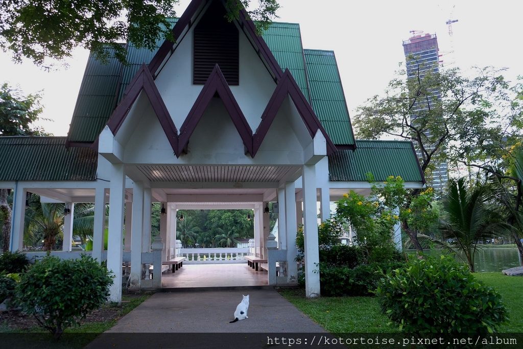 [泰國曼谷] 2019.5 曼谷快閃: 是樂園 & Anan