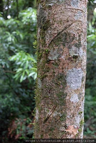 DSCF9704.jpg DSCF9704.jpg