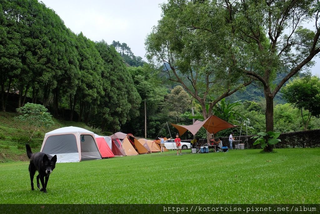 [台灣/苗栗] 2019.6 南庄露露 - 想不到露營也能