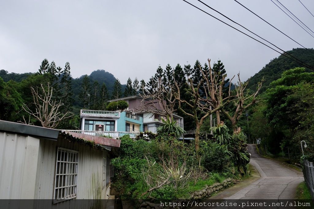 [台灣/苗栗] 2019.6 南庄露露 - 想不到露營也能