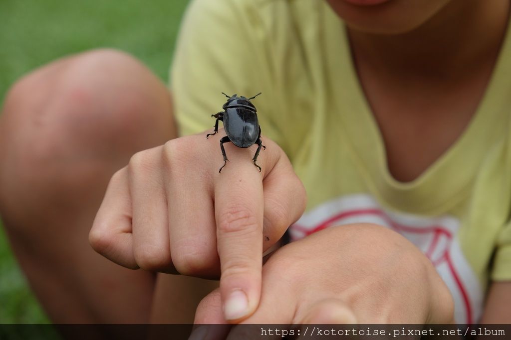 [台灣/苗栗] 2019.6 南庄露露 - 想不到露營也能