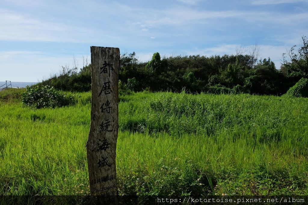 DSCF0523.jpg DSCF0523.jpg