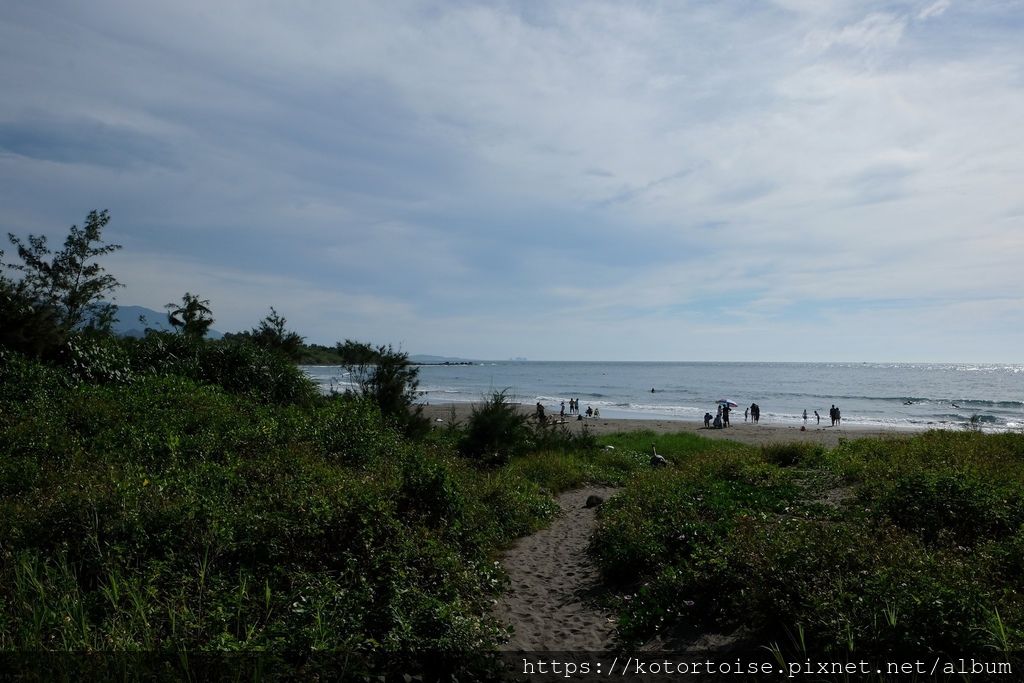 DSCF0524.jpg DSCF0524.jpg