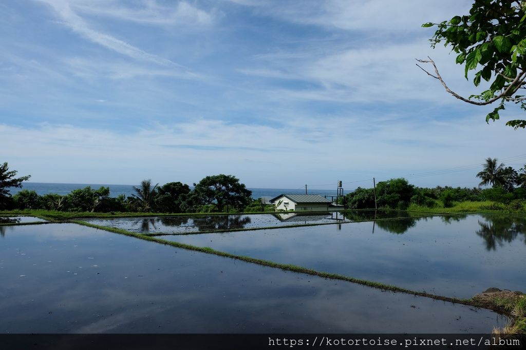 DSCF0557.jpg DSCF0557.jpg