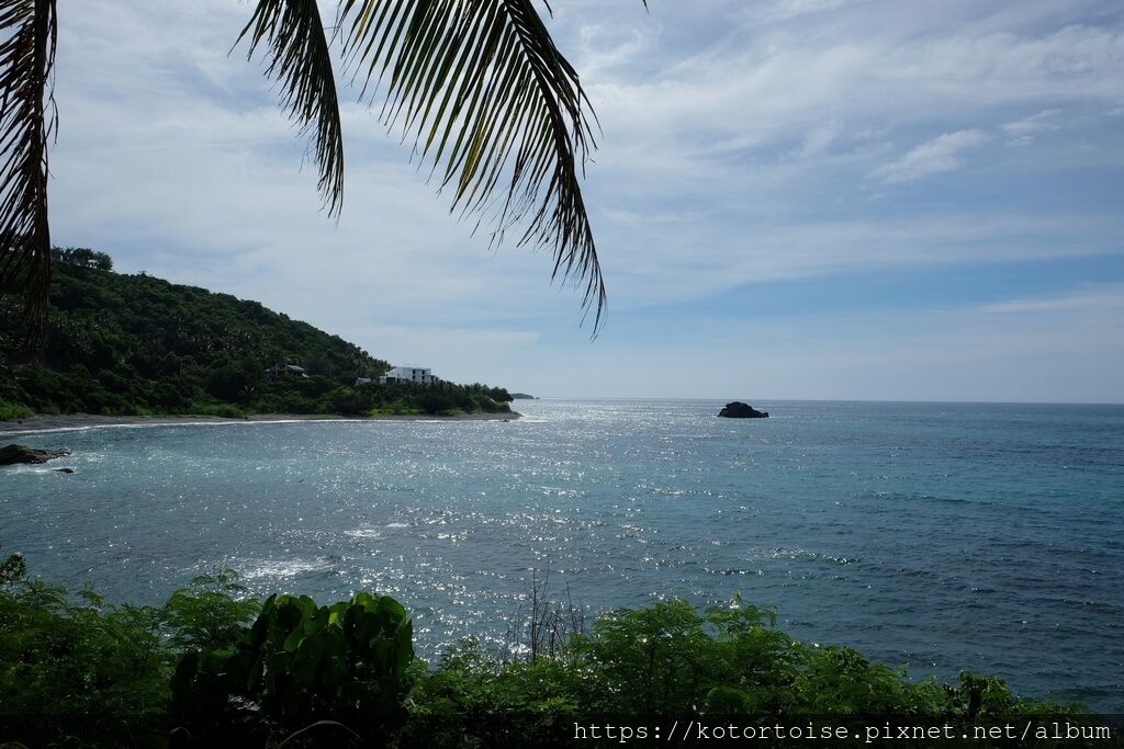 DSCF0581.jpg DSCF0581.jpg