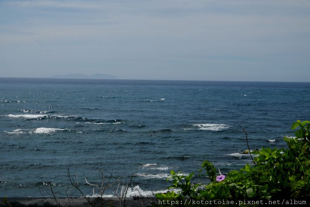 DSCF0600.jpg DSCF0600.jpg