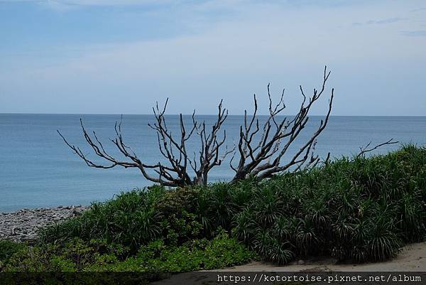 [犛牛的台灣景點] 一起來台東