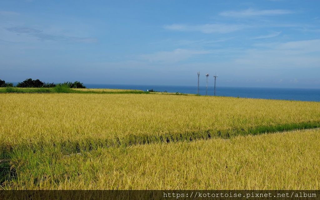 [台灣/台東] 2019.7 沿著海由長濱到花蓮 - 長濱觀