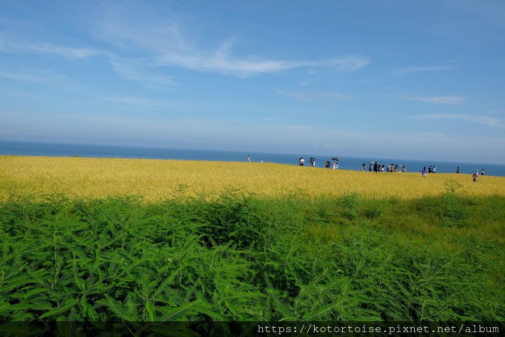 [台灣/台東] 2019.7 沿著海由長濱到花蓮 - 長濱觀