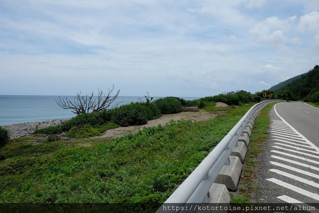 DSCF0631.jpg DSCF0631.jpg