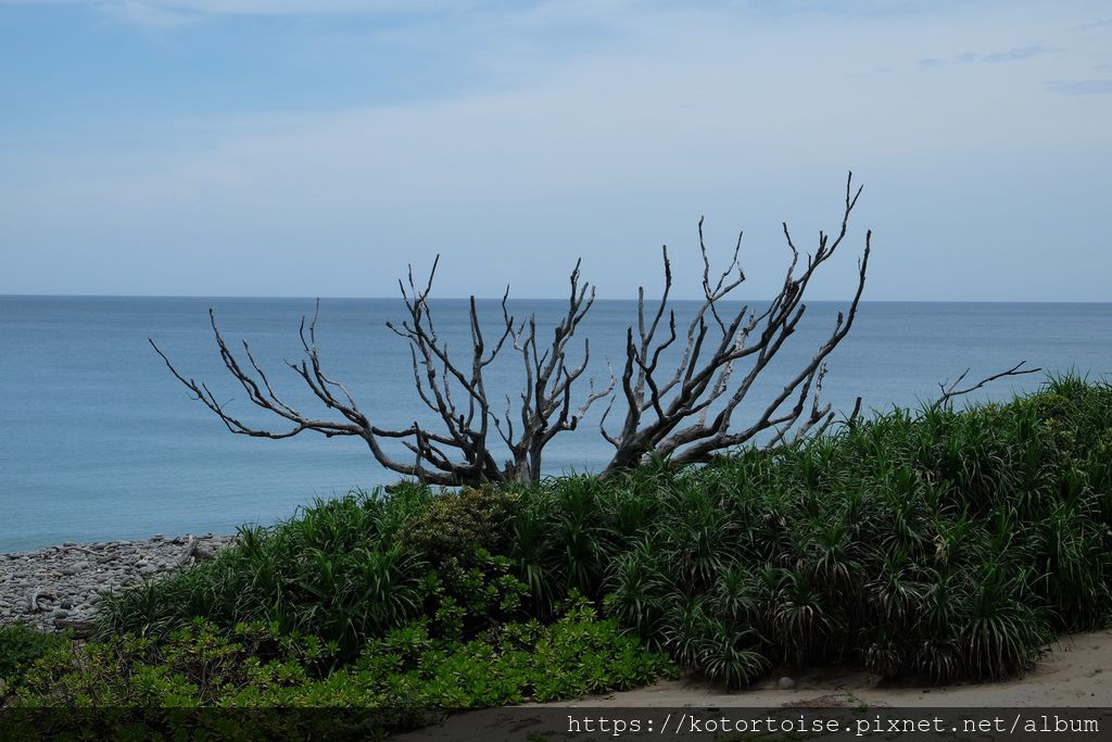 DSCF0623.jpg DSCF0623.jpg