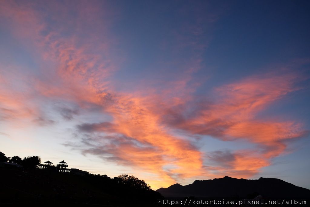 DSCF1482.jpg DSCF1482.jpg