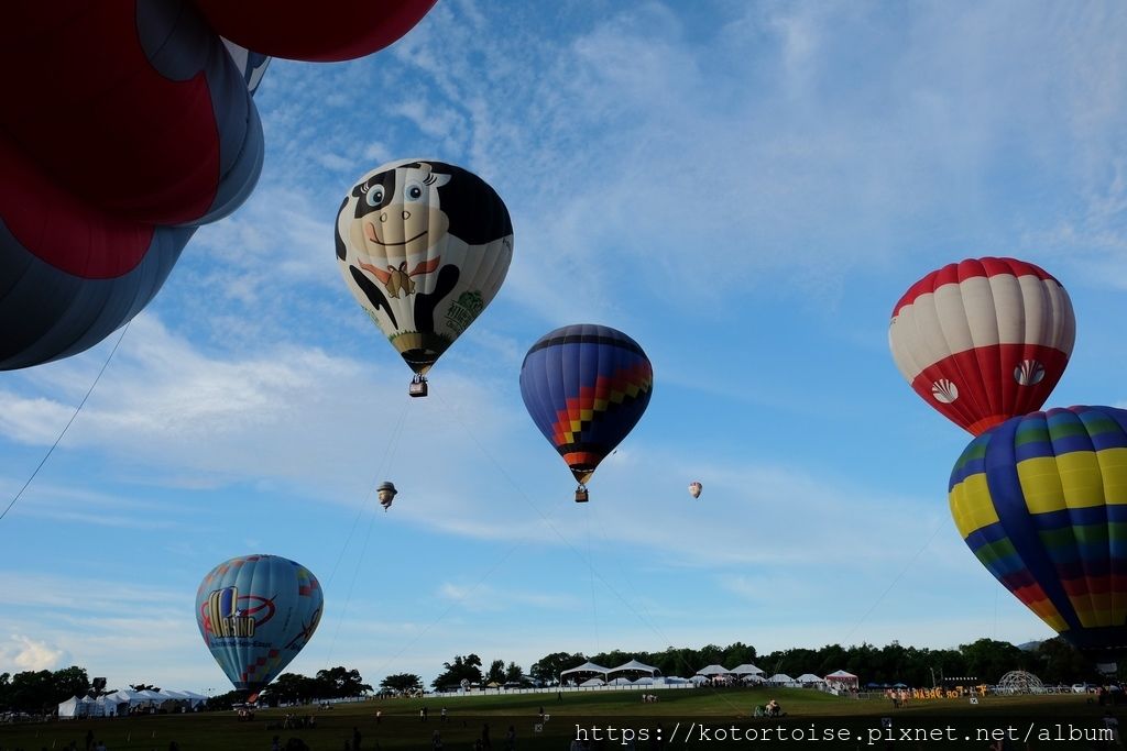 DSCF1529.jpg DSCF1529.jpg