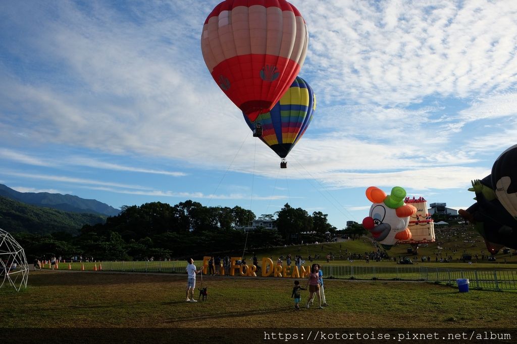 DSCF1537.jpg DSCF1537.jpg