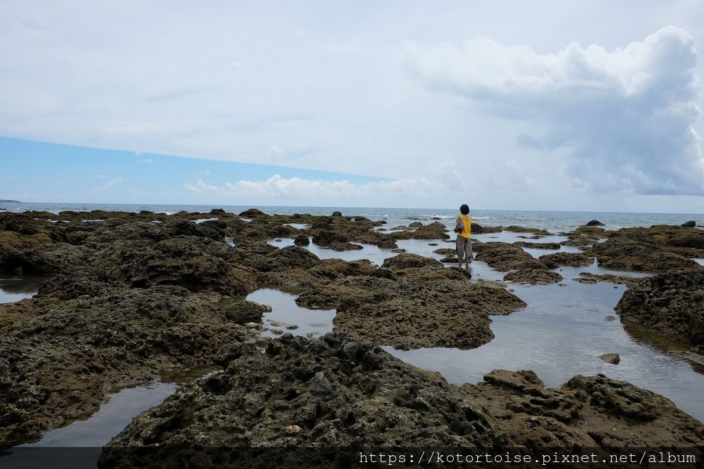 [台灣/台東花蓮] 2019.8 富山護魚區，杉原海水浴場，