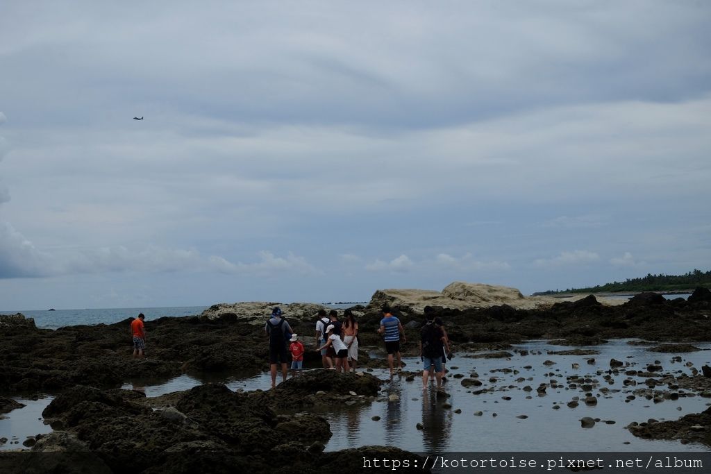 [台灣/台東花蓮] 2019.8 富山護魚區，杉原海水浴場，