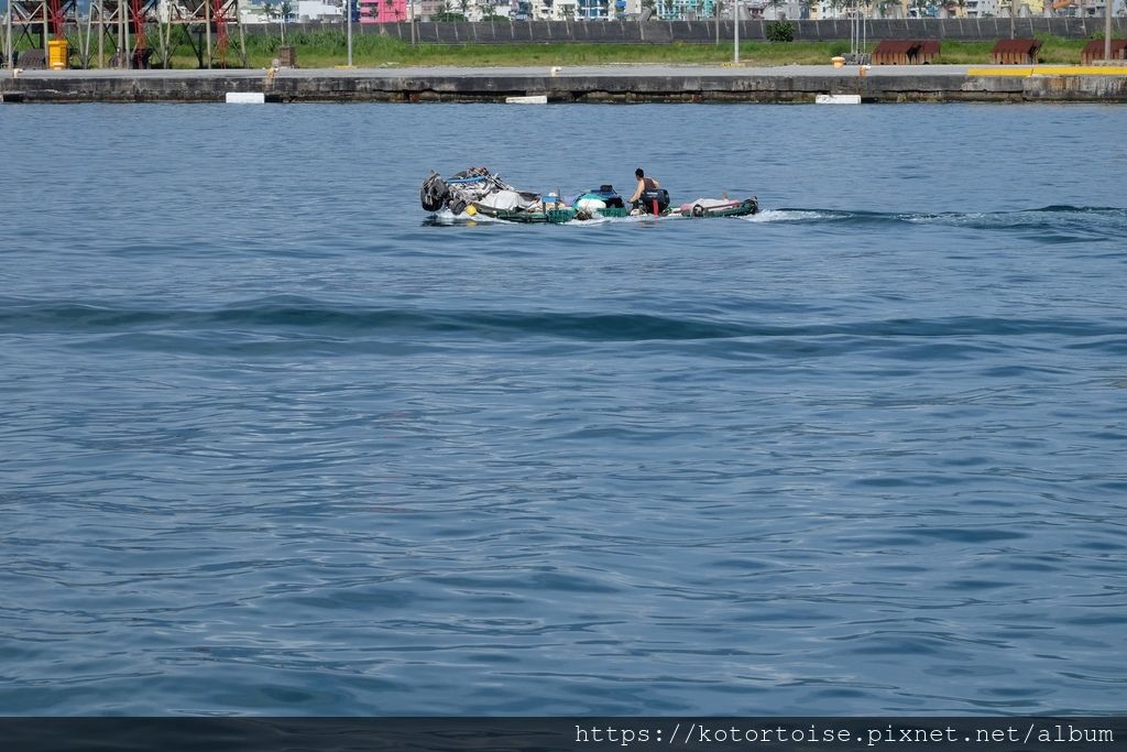 [台灣/花蓮] 2019.8 搭上多羅滿賞鯨豚 - 被海豚