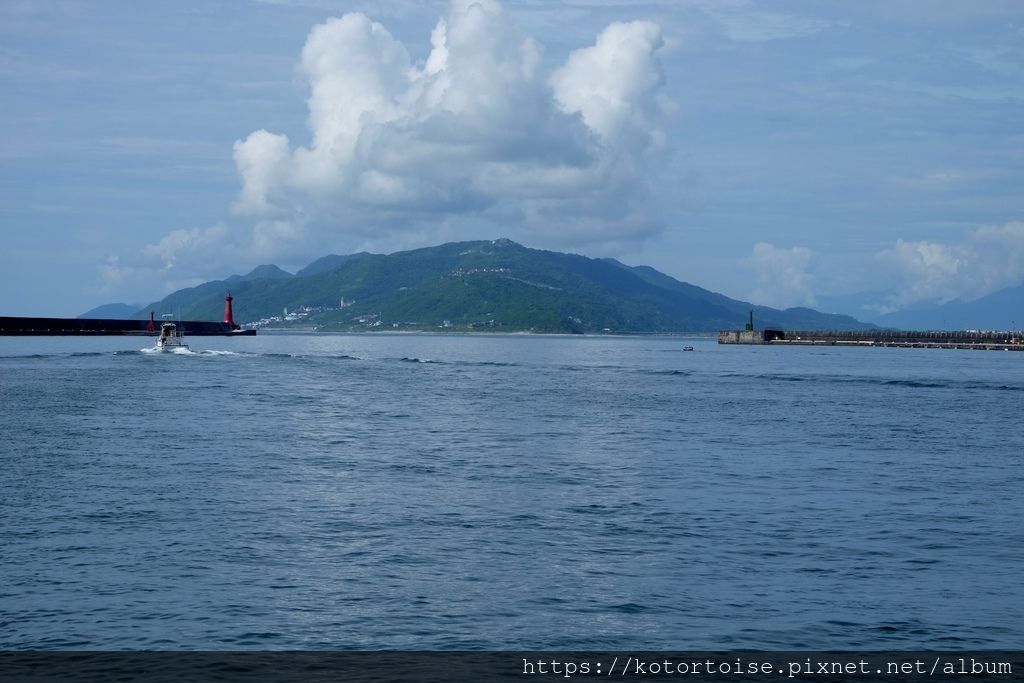 [台灣/花蓮] 2019.8 搭上多羅滿賞鯨豚 - 被海豚