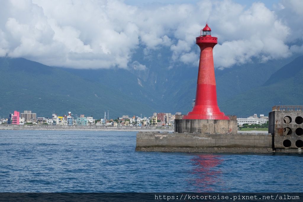 [台灣/花蓮] 2019.8 搭上多羅滿賞鯨豚 - 被海豚