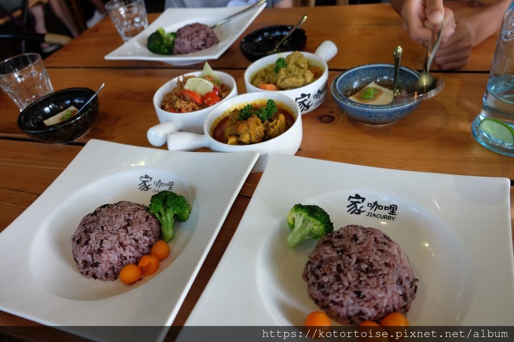 [台灣/花蓮] 2019.8 搭上多羅滿賞鯨豚 - 被海豚