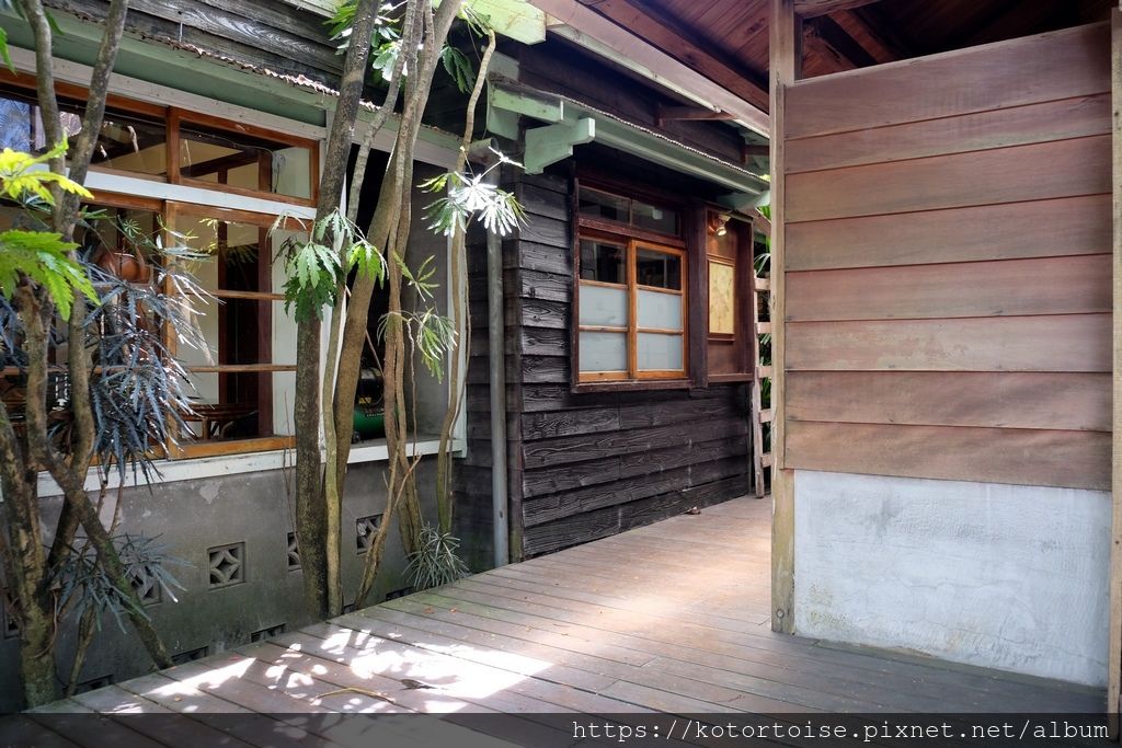 [台灣/花蓮] 2019.8 搭上多羅滿賞鯨豚 - 被海豚