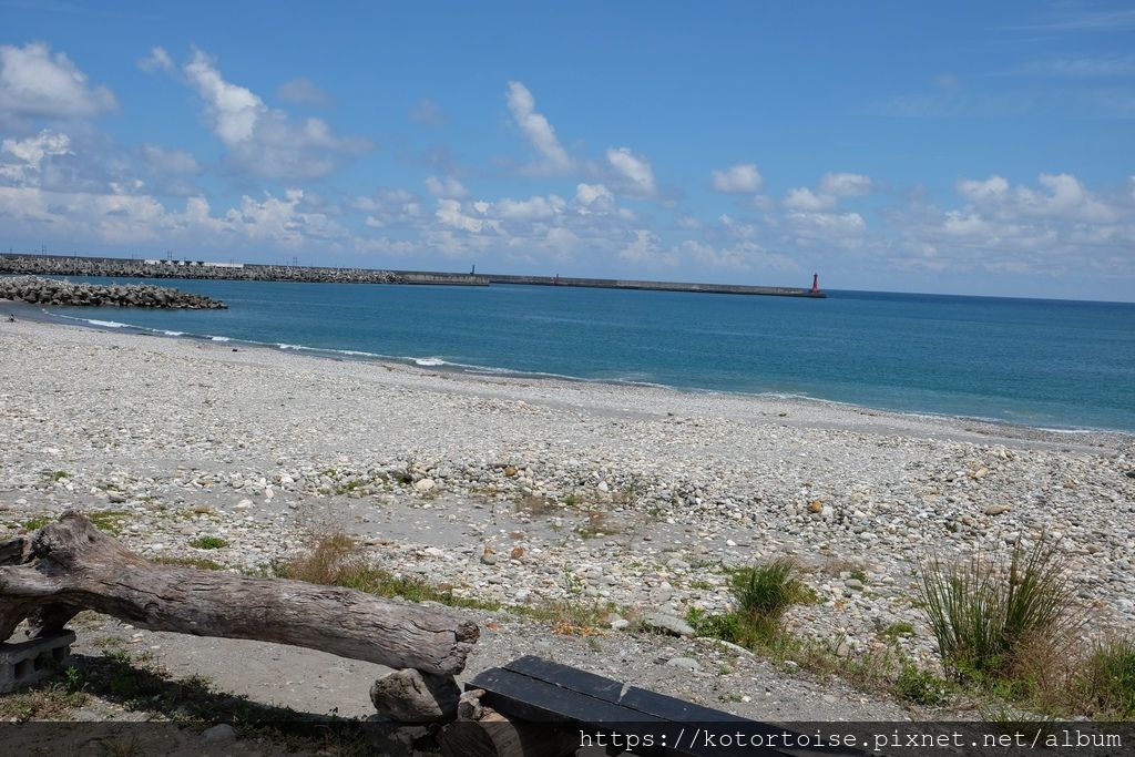 [台灣/花蓮] 2019.8 搭上多羅滿賞鯨豚 - 被海豚