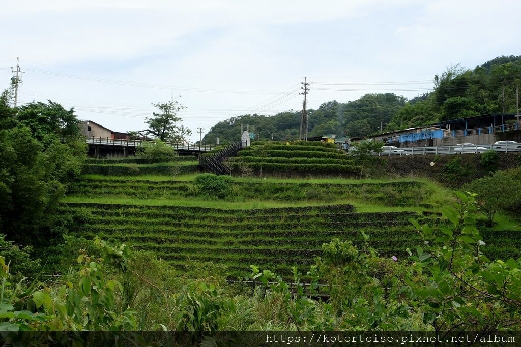 DSCF1857.jpg DSCF1857.jpg