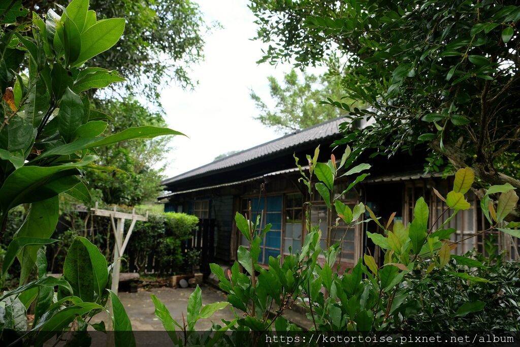 DSCF1867.jpg DSCF1867.jpg