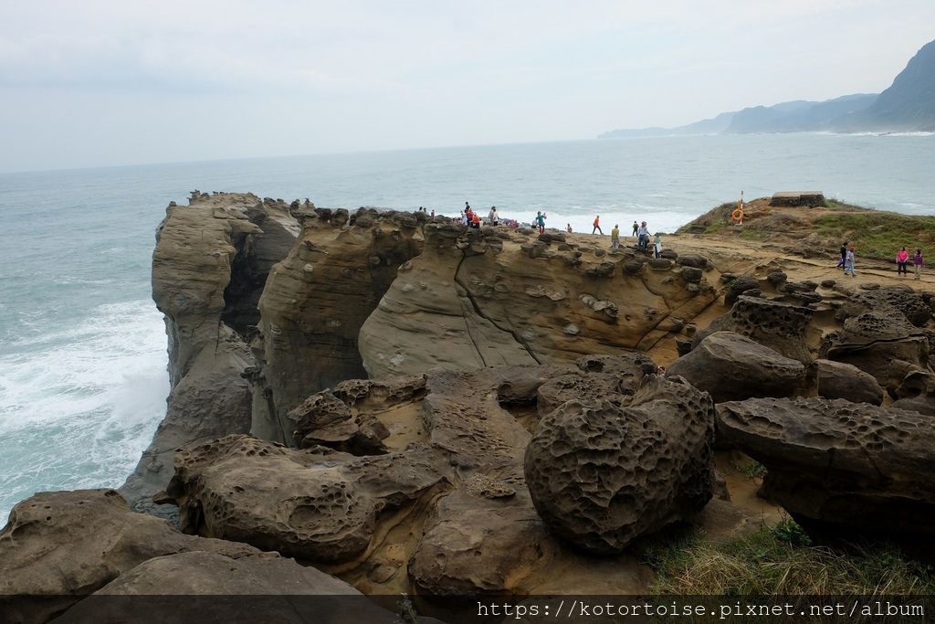 DSCF1937.jpg DSCF1937.jpg